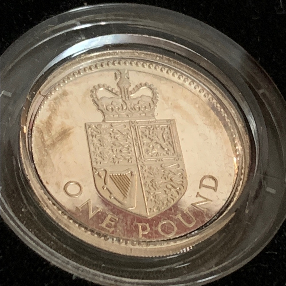 United Kingdom Royal mint one pound in case - Picture 3 of 8